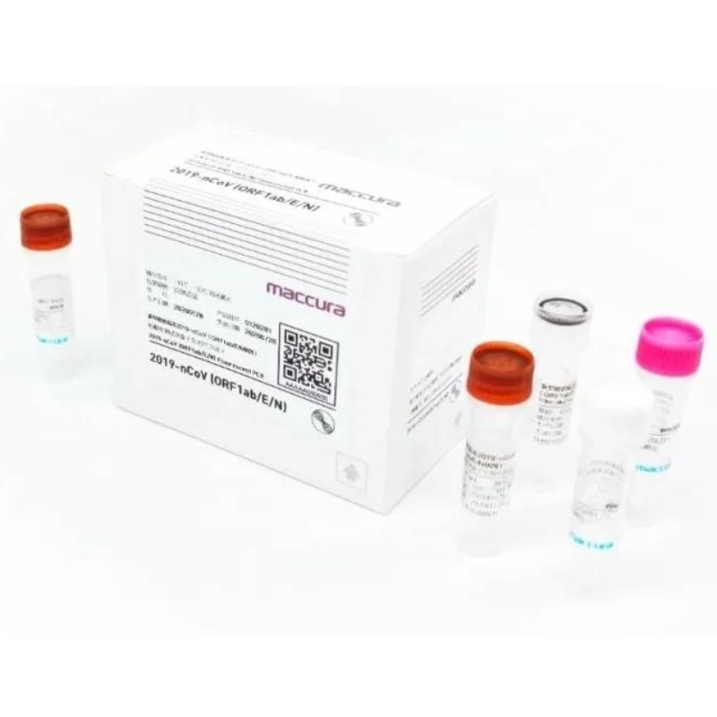 SARS-CoV-2 형광 PCR 키트